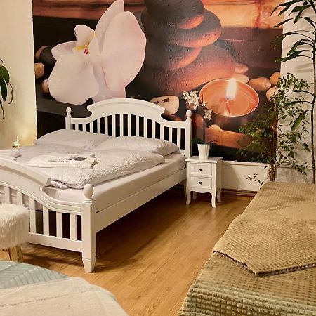 Beauty-Spa Apartment Decin Ngoại thất bức ảnh