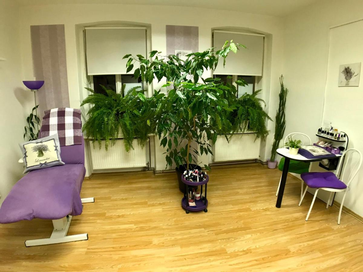 Beauty-Spa Apartment Decin Ngoại thất bức ảnh